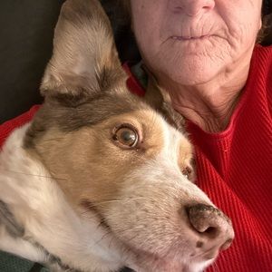 Meet your Posher, Diane